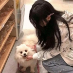 全民主公破解版下载